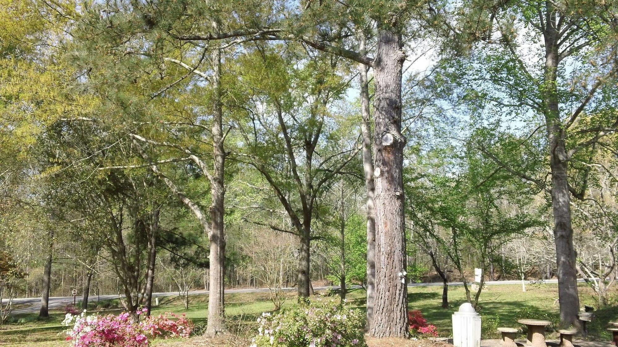 Valley Inn - Hamilton Ga Dış mekan fotoğraf